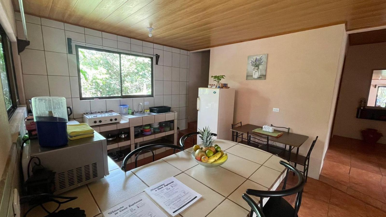Casa Euphonia Монте-Верде Экстерьер фото